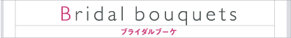�u���C�_���u�[�P