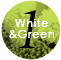 1白・緑系