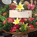 ce_15000_011