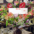 Ce_15000_012