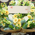 ce_15000_015