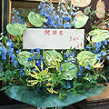 ce_20000_012