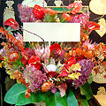 ce_25000_010