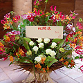 ce_25000_011