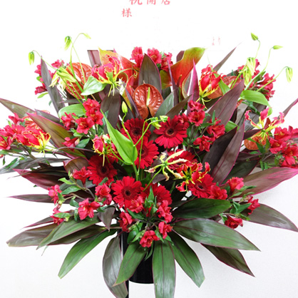 X^ht[Fl1_15000 _010