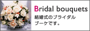 �u���C�_���u�[�P