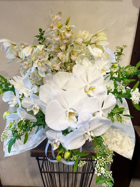 �֓��n�摗������