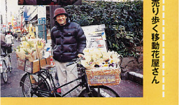 |^TOKYO@1998NVt卆